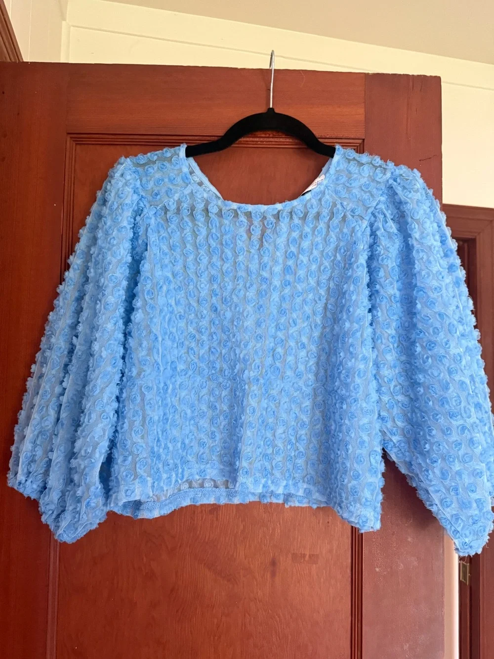 Zara Light Blue Textured Puff Sleeve Blouse